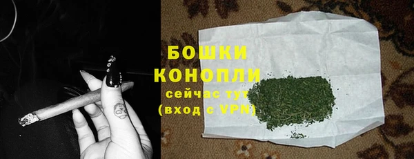 СК Горно-Алтайск