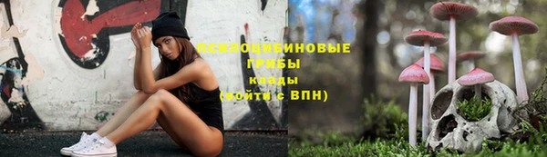 СК Горно-Алтайск