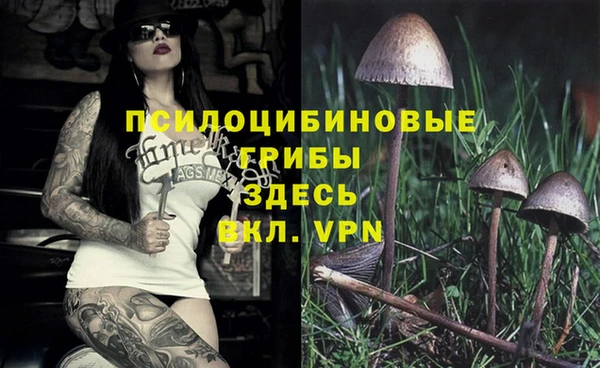 альфа пвп Горняк