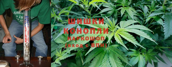 СК Горно-Алтайск