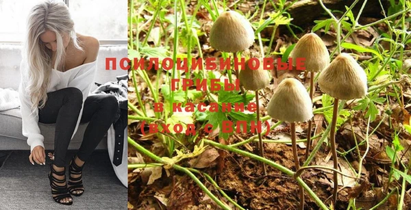 альфа пвп Горняк