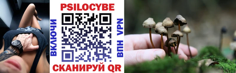 Псилоцибиновые грибы Psilocybe  Заринск 